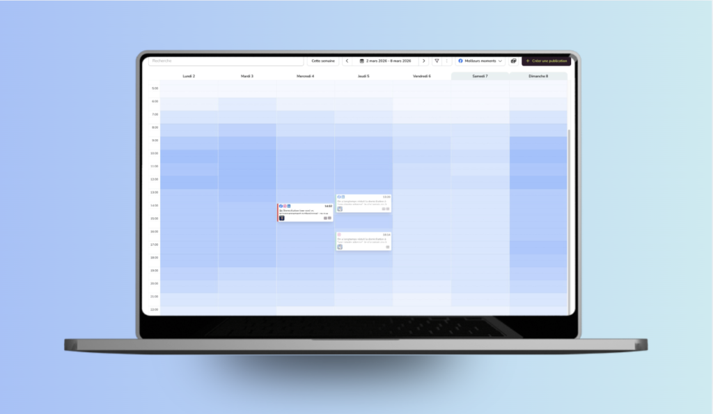 Gestion complète des réseaux sociaux
