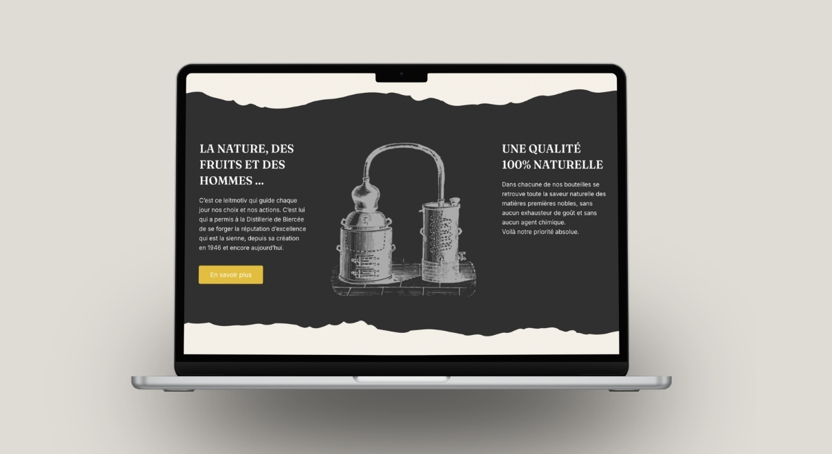 Design & expérience utilisateur