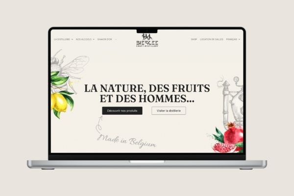 Agence refonte de site web